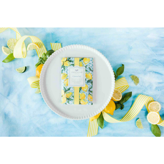 glg900559_sachet_flat_citronsol1